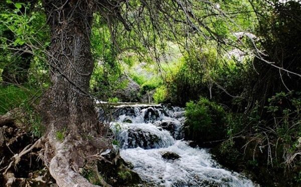 جاهای دیدنی گلمکان