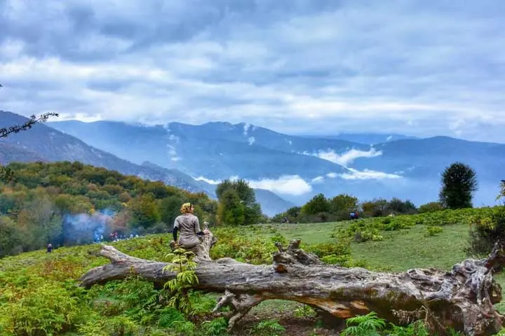 جنگل الیمستان