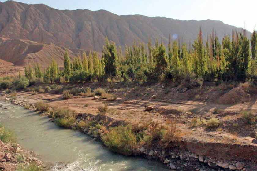 روستای بنه‌کوه