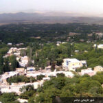 نیاسر کاشان