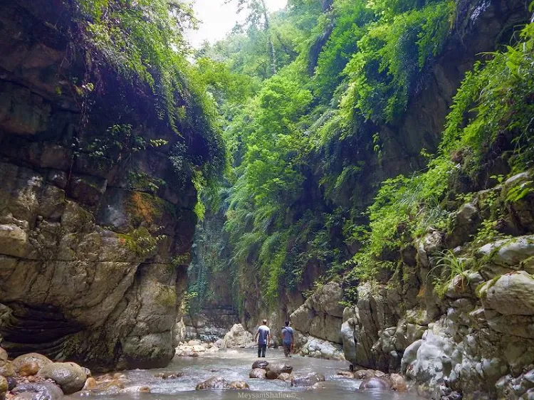 تنگ دار نوشهر