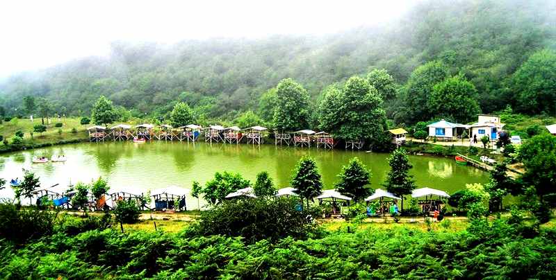 جنگلهای دیدنی رامسر