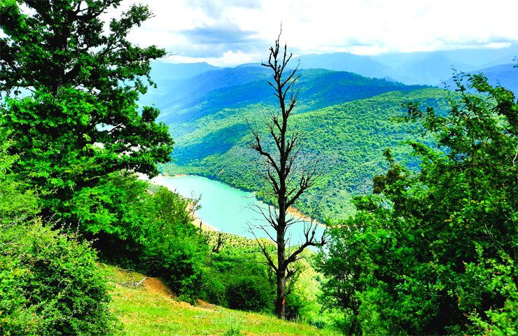 جنگلهای دیدنی رامسر